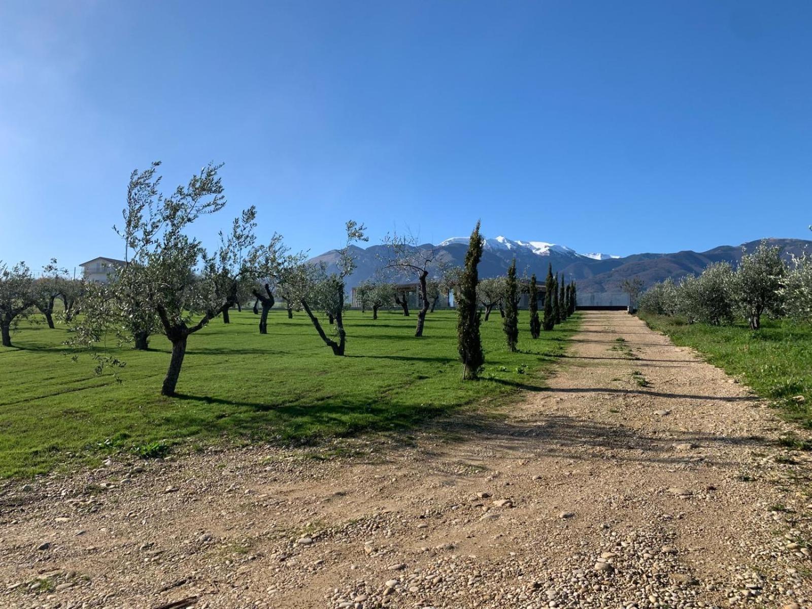 Villa Pirello Guardiagrele Eksteriør billede